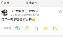 吃瓜爆料在线看小说,在线小说世界的秘密花园